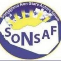 Opposition party accuses SONSAF of partiality and partisan