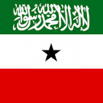 Somaliland revokes all telecommunications licenses.