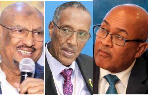 Are political parties in Somaliland different?